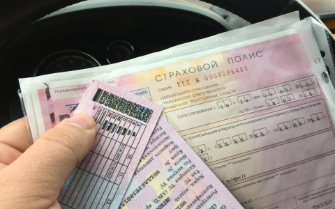 Пензенских водителей ожидает реформа ОСАГО