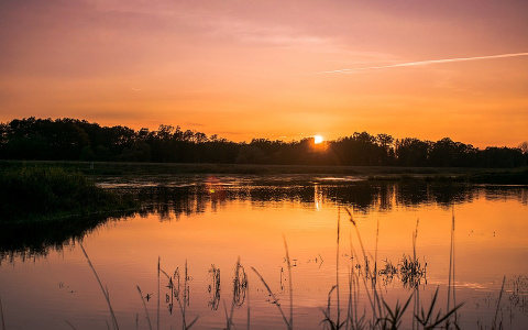 Изнуряющая жара или холод? Пензенцам рассказали о погоде на понедельник
