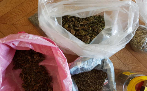 15 лет за 250 кустов конопли: полицейские нашли необычный сад пензенца