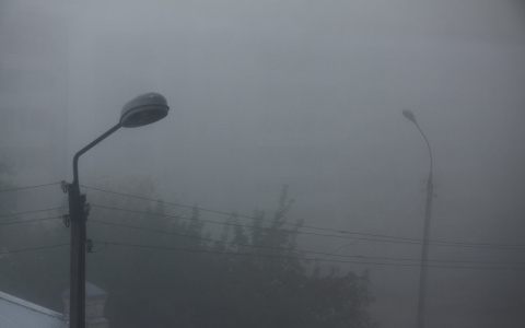 Пензу накроет туман: синоптики рассказали о погоде