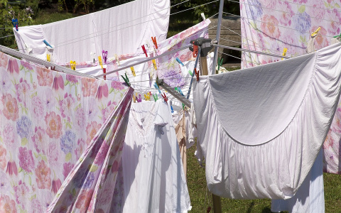 "Просят заплатить за нестираные трусы": как пензячка провела лето