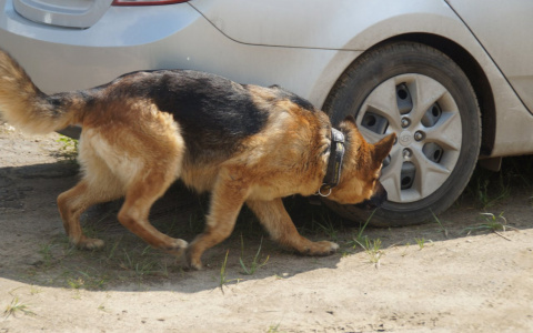 «По их домам полиция ходила. Нам страшно»: жители Колышлея боятся «второй Чемодановки»