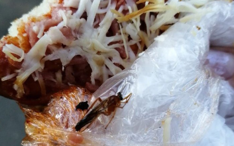 Пензячка купила пиццу, открыла ее и обмерла