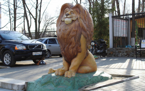 Пензенский зоопарк переходит на новый режим работы