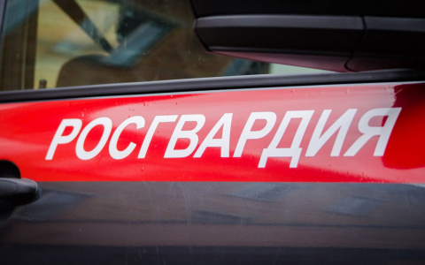 В Пензе пенсионер разбушевался в маршрутке и разбил стекло