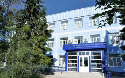 Пензенские следователи разбираются в причинах гибели девочки в Камешкирском районе