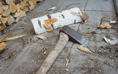 Пензенец убил мать поленом и «сядет» на восемь лет