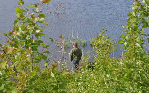 430 тысяч в месяц: Пензенцы могут занять самую "дорогую" вакансию