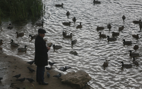Плюс меняется на минус: погода в Пензе на предстоящие сутки