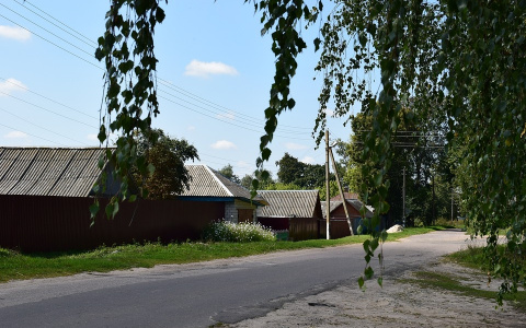 Пензенцы могут проголосовать за Большой Чердак, Ишаки или Мошонки