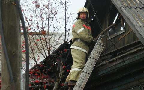 В Пензенской области спасатели вынесли человека и спасли имущество его соседей