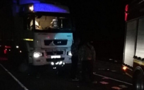 Появилось видео с места, где водитель Камаза покалечил пензенских полицейских и убил пару