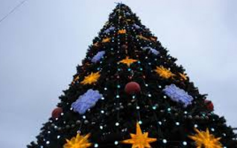 Пензенцам сообщили, где установят главную новогоднюю елку