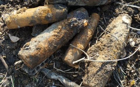 Пензенец нашел в лесу 12 военных снарядов