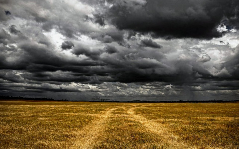 Пьяный охотник yбил бизнесмена на глазах у своего сына