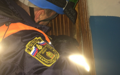 Был в неадекватном состоянии: пензячка позвала спасателей, чтобы попасть к брату