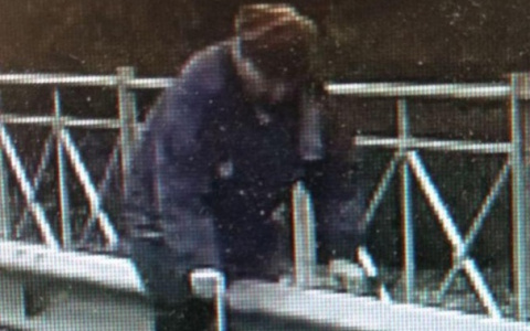 Владельцев дач в Пензе просят помочь в поисках пенсионерки