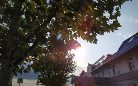 Город Спутник – экологичный район для счастливой жизни