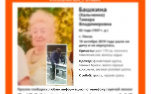 В Пензе нашли бабушку, которая ушла на дачу и не вернулась