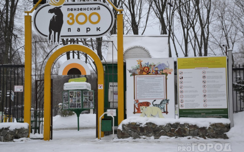 В Пензенском зоопарке изменился режим работы