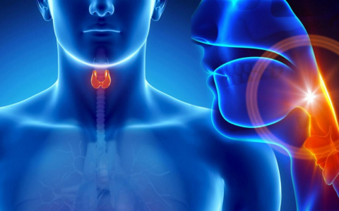 Только один день: пензенцы смогут бесплатно проверить щитовидку