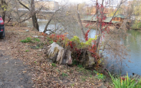 Странное преступление в Пензе: умирающий сам прыгнул в реку?