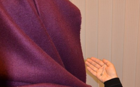 Вербовали в секты? В Пензенской области наказали 2 религиозные организации