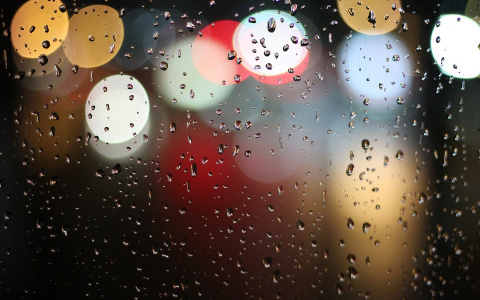 В четверг пензенцам прогнозируют теплую погоду и дождь
