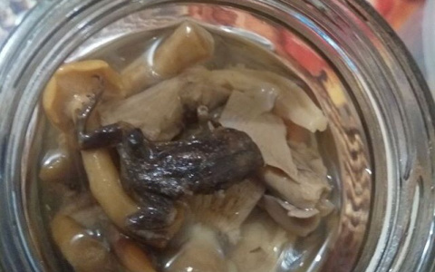 Открыл банку, а там "ква-ква": пензенец купил маринованные грибы с лягушкой