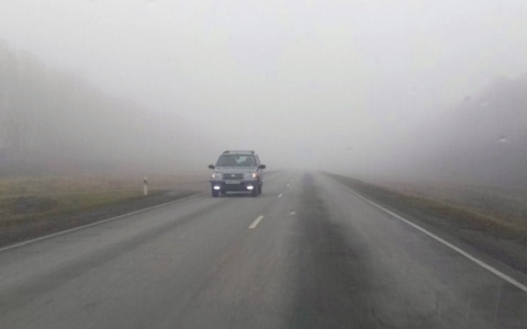 Опасная дорога: густой туман на трассе М5 встревожил пензенцев