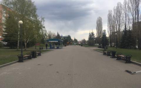 "Замеры шокировали работников Роспотребнадзора": пензячка рассказала об излучении