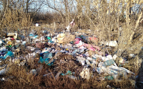 Жители пензенского села выбрасывают мусор из машин в посадки