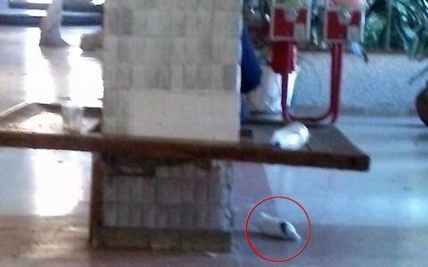 Мертвый голубь и пустая бутылка: выставка в Пензенской области не удалась