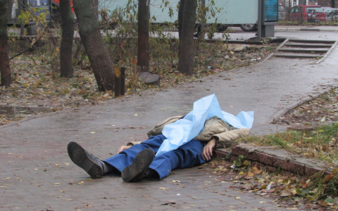 Установлена личность погибшего в Терновке пензенца