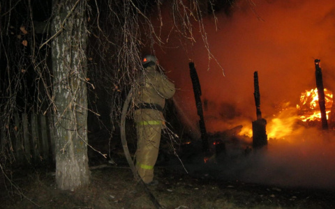 В пожаре в селе Пензенской области сгорел дом