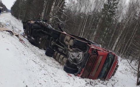 В Пензенской области фура улетела в кювет - фото
