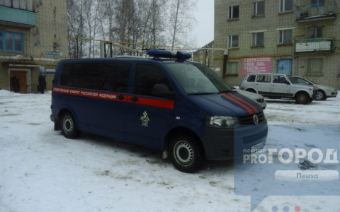 Следователи устанавливают причину смерти 14-летней девочки в Бессоновке