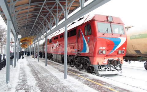 В Пензенской области мужчину спасли от мчащегося поезда