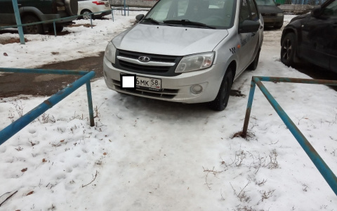 Должны прыгать как кенгуру? Пензенская мать поймала автохама во дворе