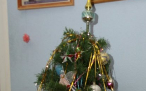 На эти пять вещей надо смотреть пензенцам, чтобы правильно выбрать искусственную елку