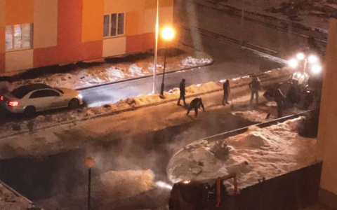 «Озимый асфальт»: пензенцы высмеяли работу дорожных служб города