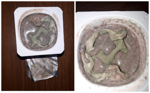 Йогурт без даты! В Пензенской области продали продукт с плесенью