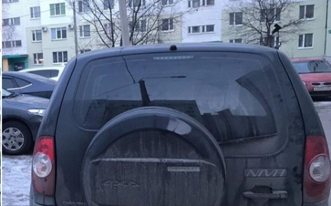 "Парковочные войны": В Пензе водитель пытался тросом вытянуть машину со своего места во дворе