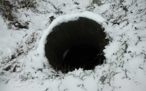 Мать четверых детей из Пензы нашли убитой в московском колодце