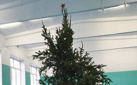 "Эта елочка уже отпраздновала, да?" В пензенской области новогоднее дерево встретили без восторга