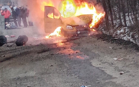 Соцсети: в аварии под Пензой на М-5 погибло двое