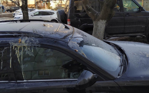 Хулиганы бомбардируют пензенские авто яйцами – фото