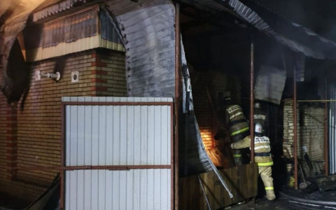 В страшном пожаре под Пензой погибла женщина и 11-летний мальчик