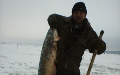 "Подарок тестю": пензенский рыбак поймал огромного сома - фото