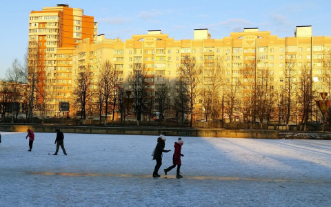 «Жаба задушила за детскую радость»: жителей Пензенской области возмутил поступок чиновников